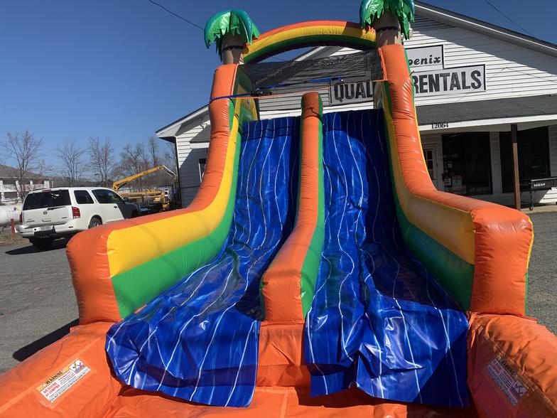 Lion Bounce House and Slide Rental