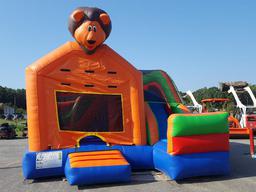 Lion Bounce House and Slide Rental